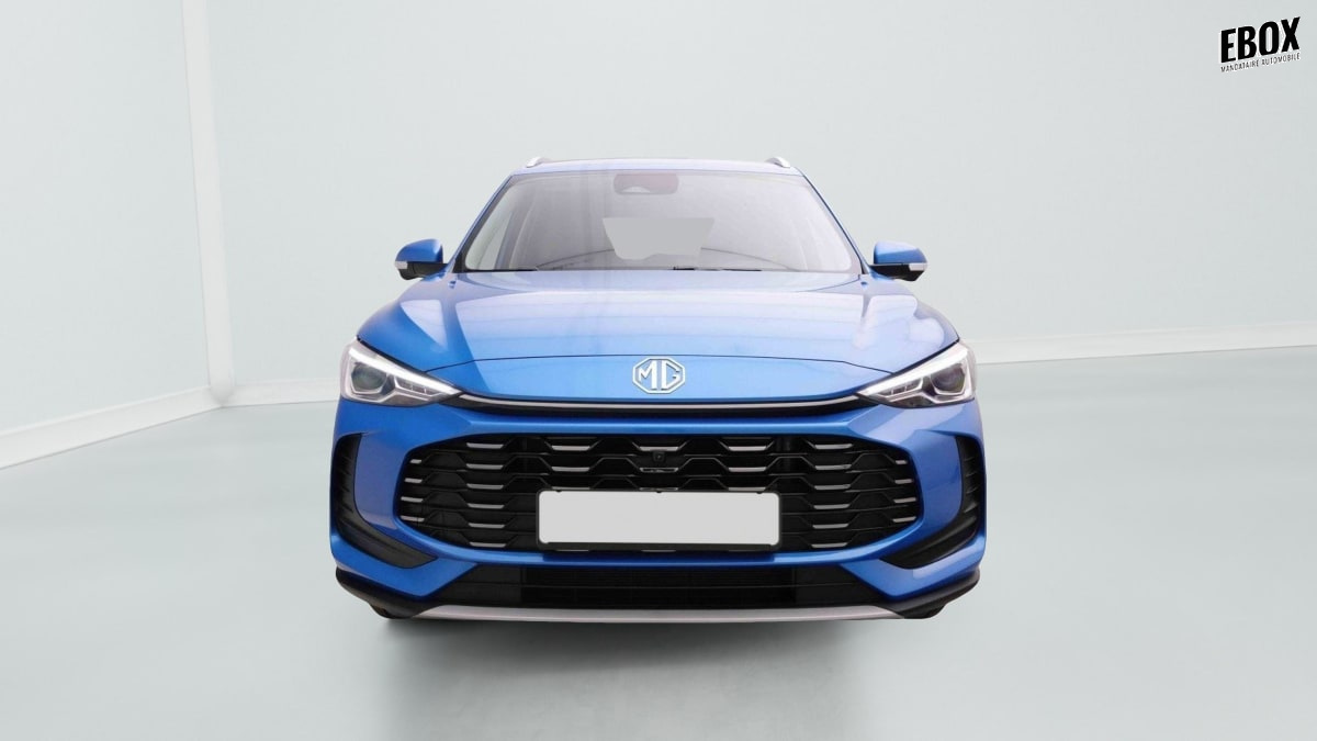 377396_p2 - MG - ZS - 2026 - photo 2