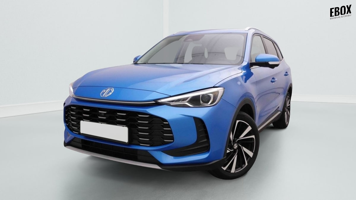 377165_p2 - MG - ZS - 2026 - photo 1