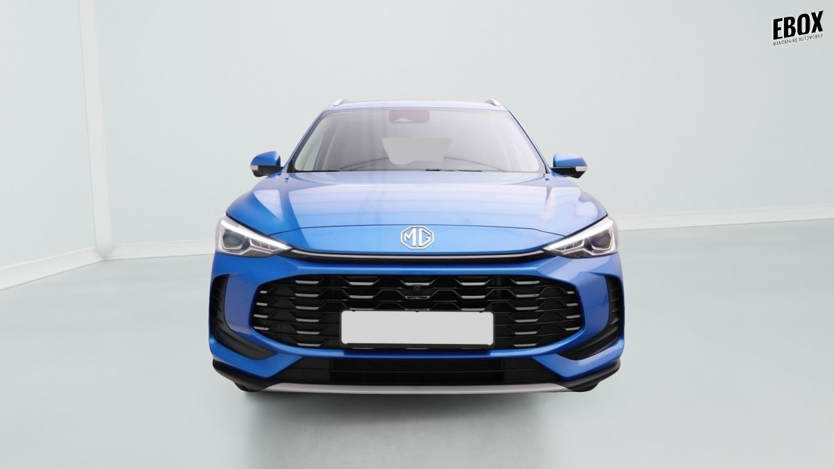 377165_p2 - MG - ZS - 2026 - photo 2