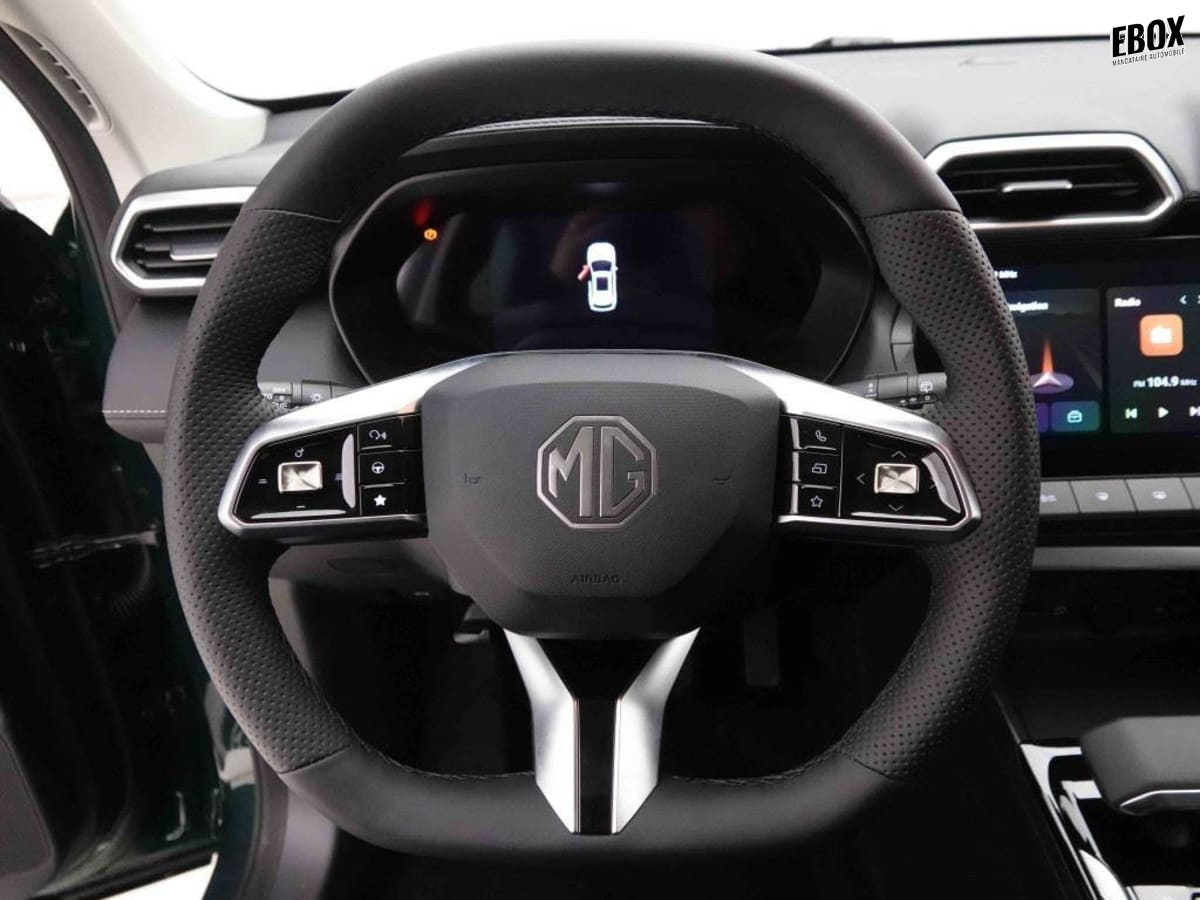 378322_p2 - MG - ZS - 2026 - photo 7