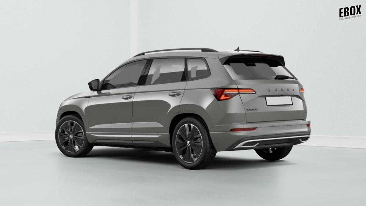 380013_p2 - SKODA - KAROQ - 2026 - photo 3
