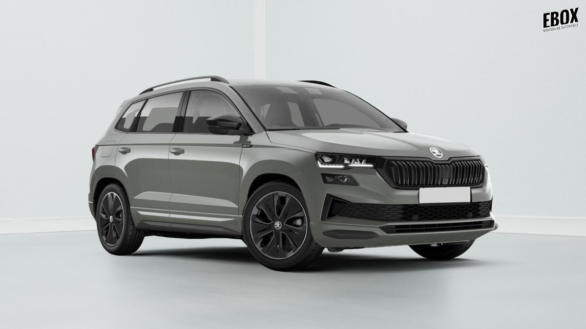 380013_p2 - SKODA - KAROQ - 2026 - photo 1