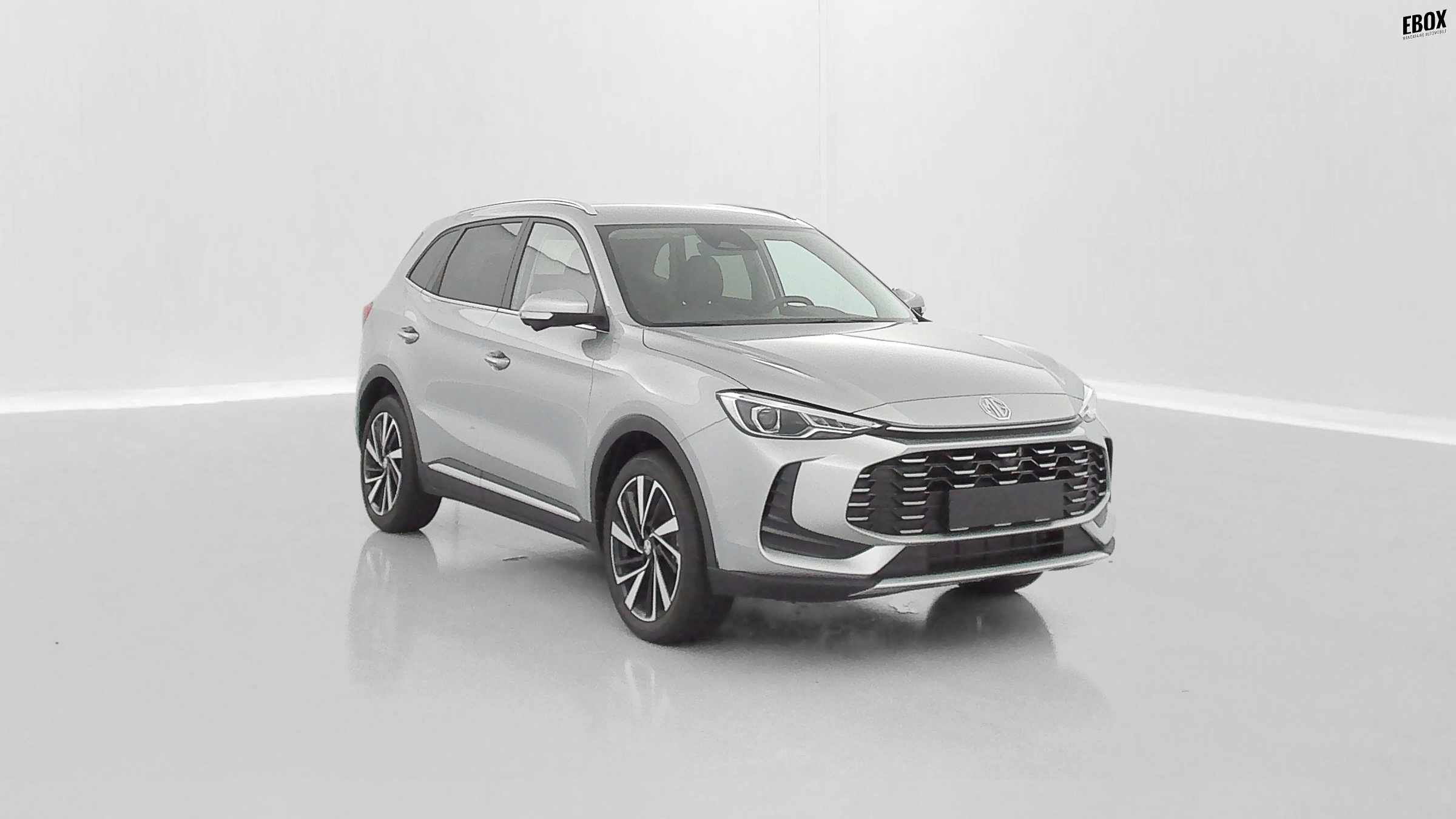 GLI00019897_p53 - MG - ZS - 2026 - photo 1