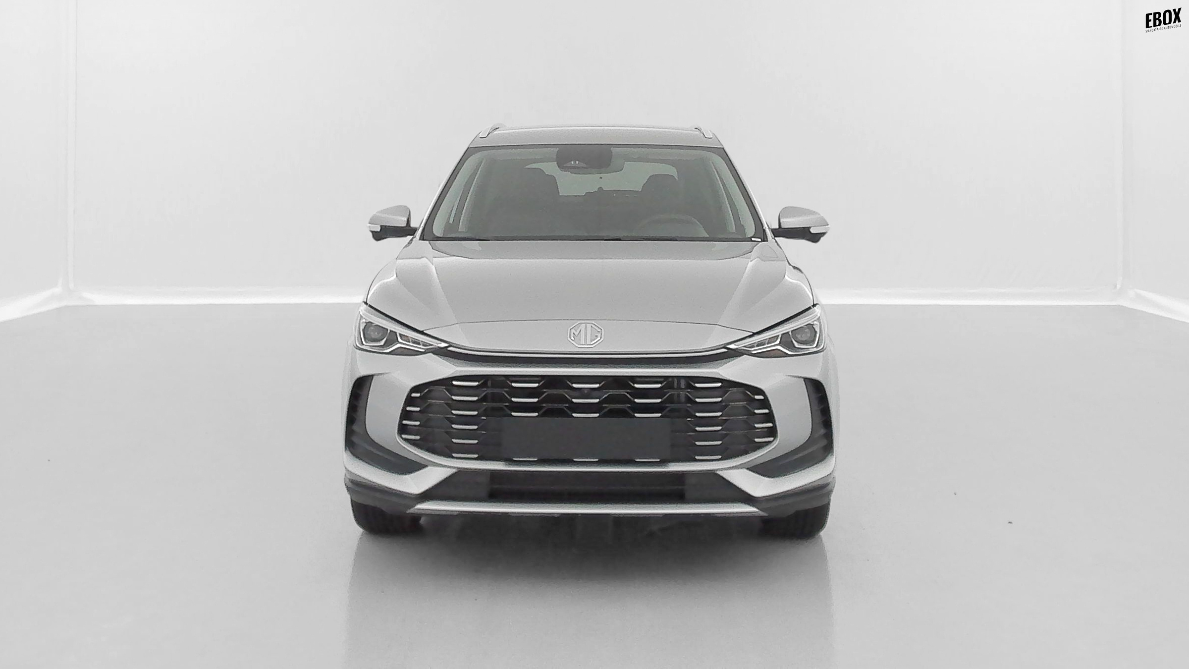 GLI00019897_p53 - MG - ZS - 2026 - photo 2