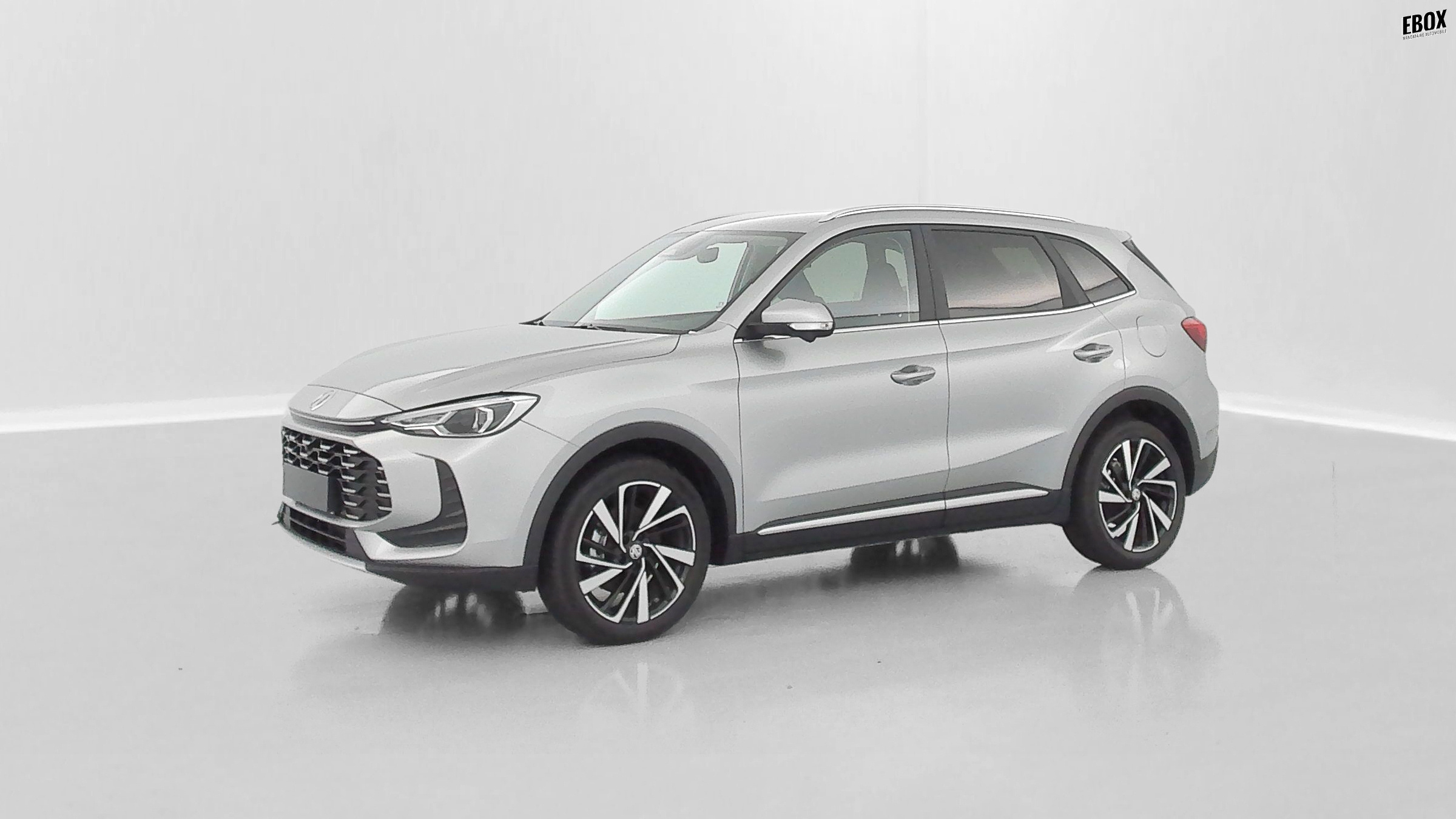 GLI00019897_p53 - MG - ZS - 2026 - photo 28