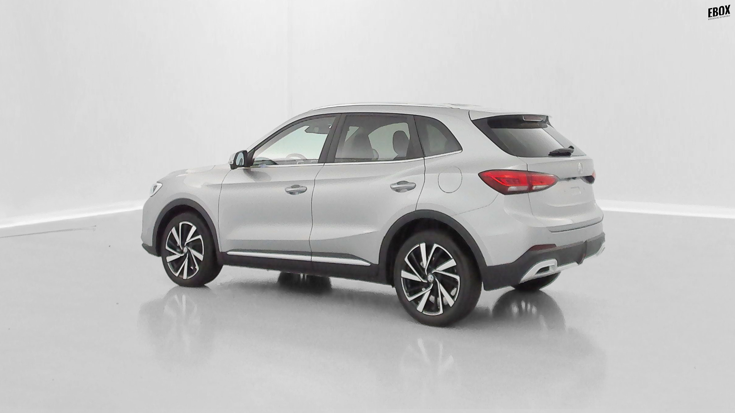 GLI00019897_p53 - MG - ZS - 2026 - photo 29