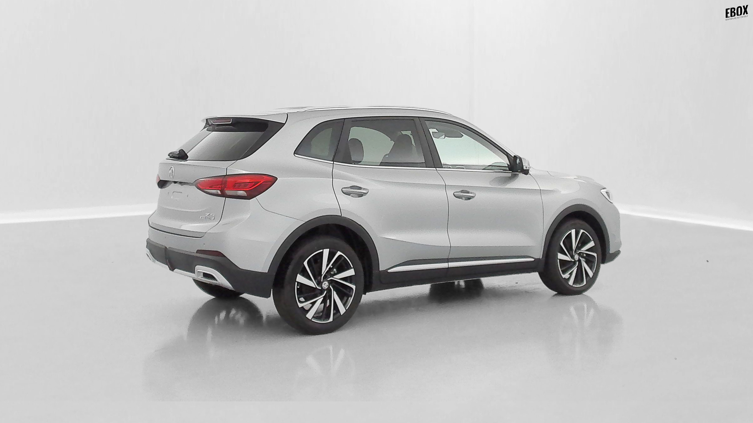 GLI00019897_p53 - MG - ZS - 2026 - photo 30