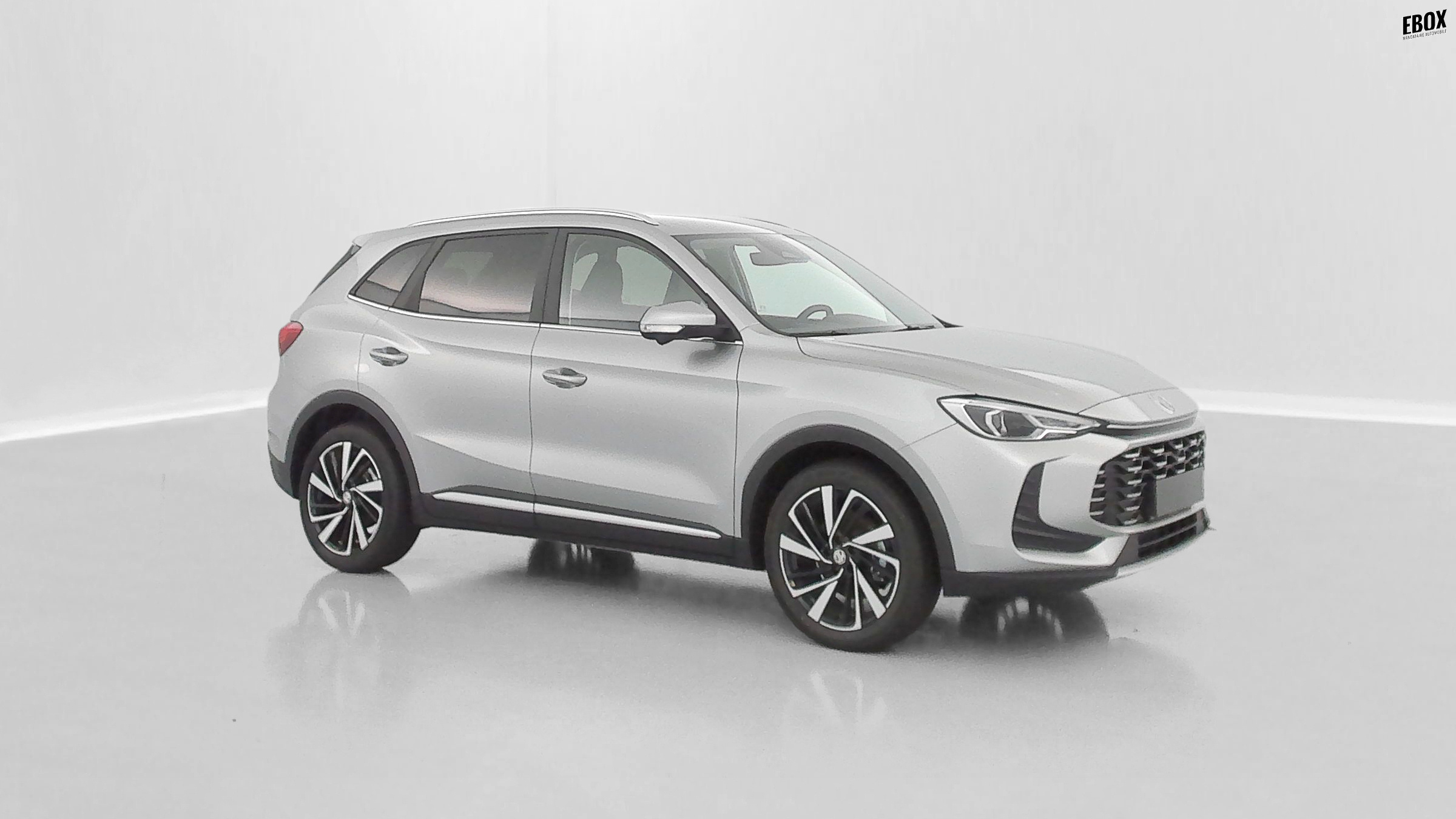 GLI00019897_p53 - MG - ZS - 2026 - photo 31