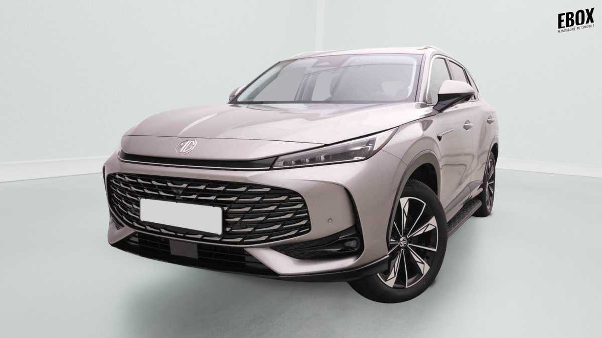 380464_p2 - MG - HS - 2026 - photo 1