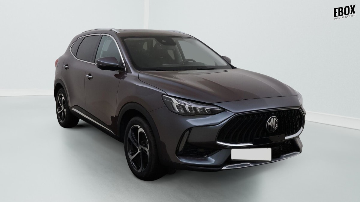 380203_p2 - MG - HS - 2026 - photo 1