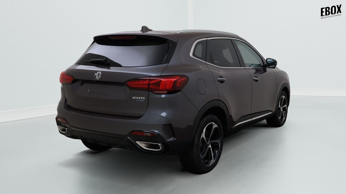 380203_p2 - MG - HS - 2026 - photo 7