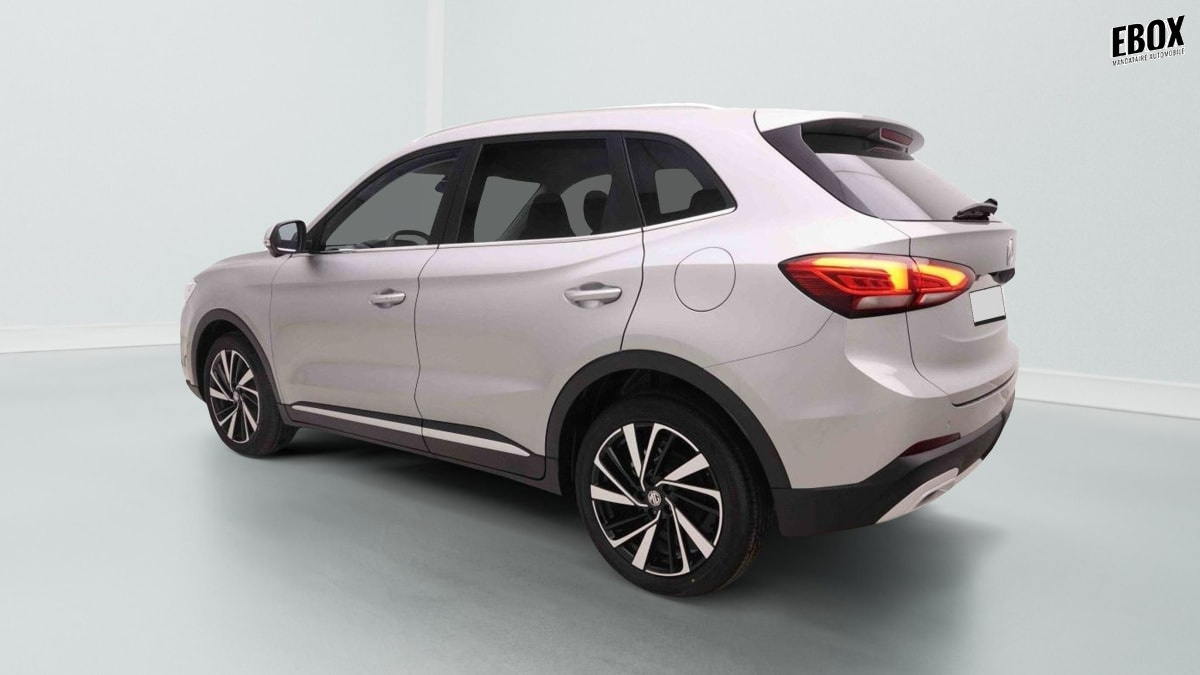 378527_p2 - MG - ZS - 2026 - photo 2