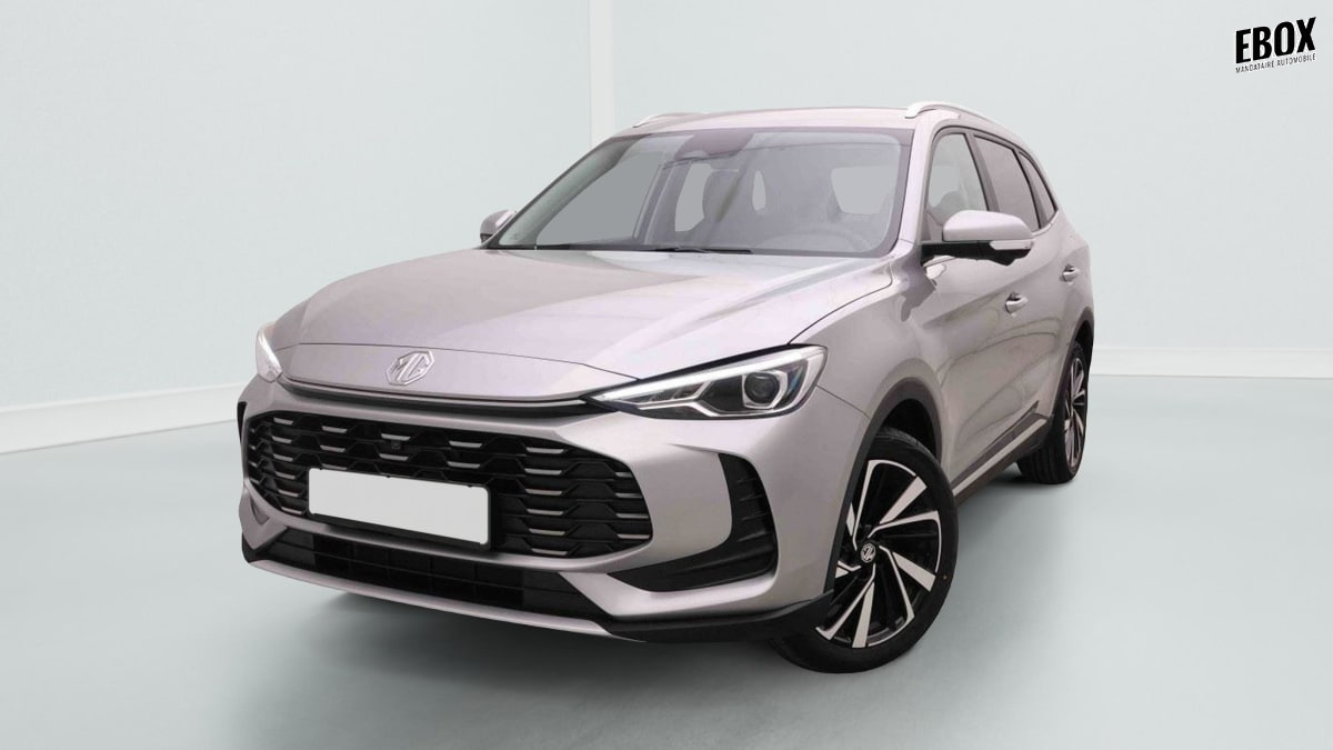 378527_p2 - MG - ZS - 2026 - photo 1