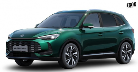 GLI00019934_p53 - MG - ZS - 2026