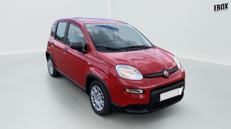 381073_p2 - FIAT - PANDA - 2024