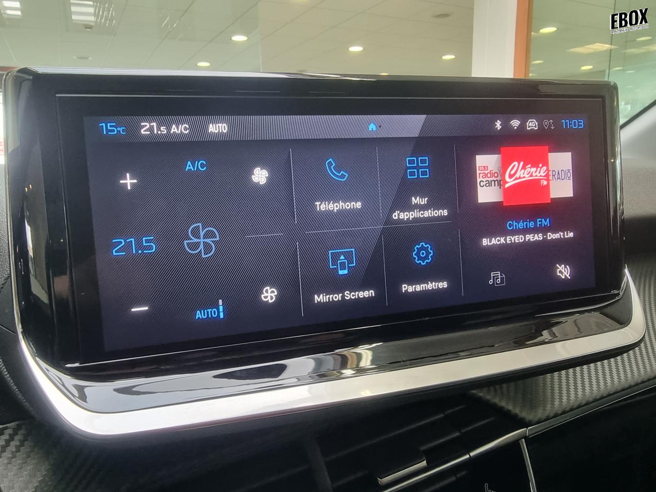 0679-0003334_p68 - PEUGEOT - 208 - 2026 - photo 20