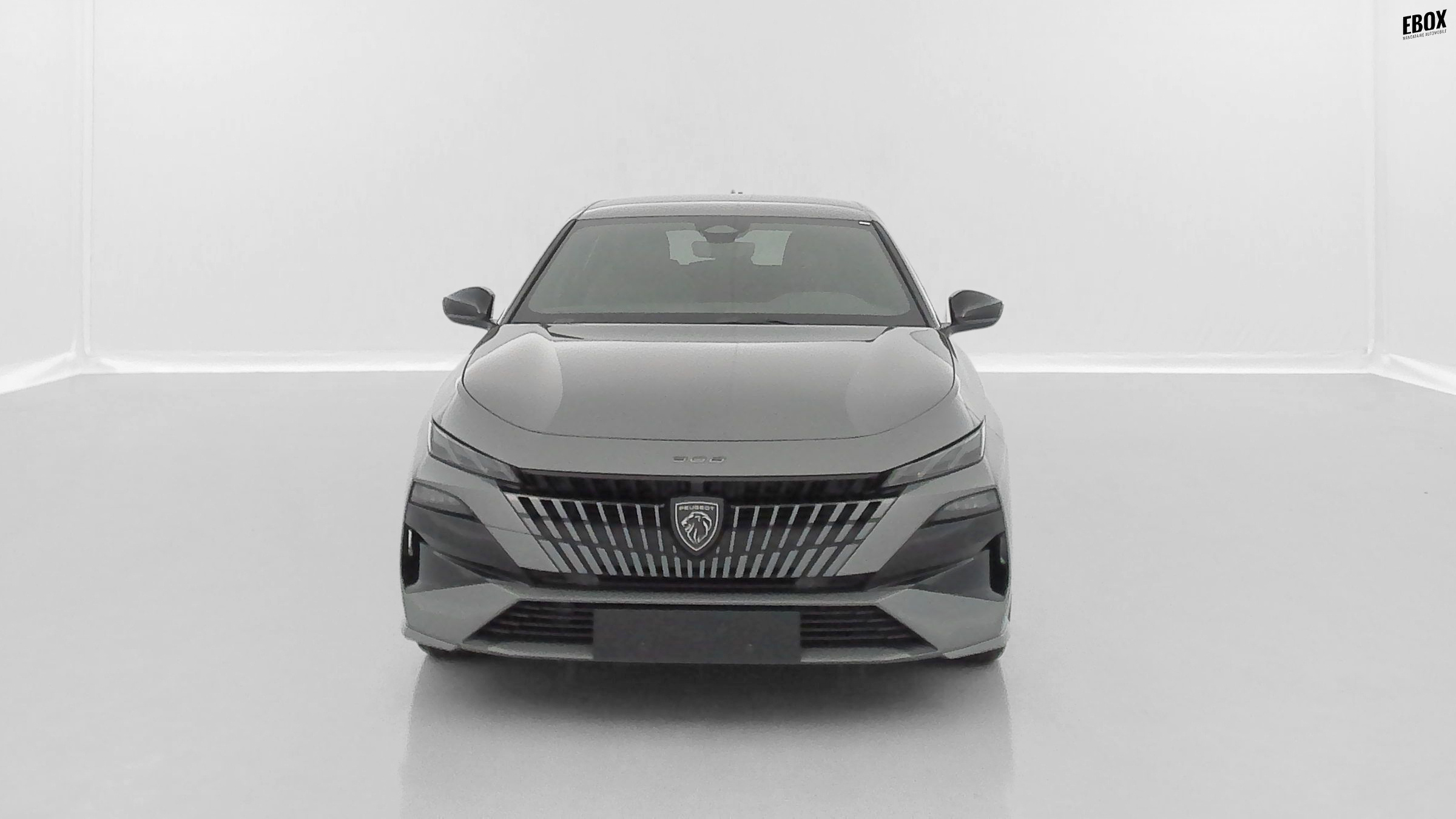 GLI00010342_p53 - PEUGEOT - 308 - 2026 - photo 2