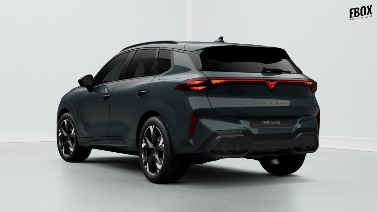 385970_p2 - CUPRA - TERRAMAR - 2026 - photo 3