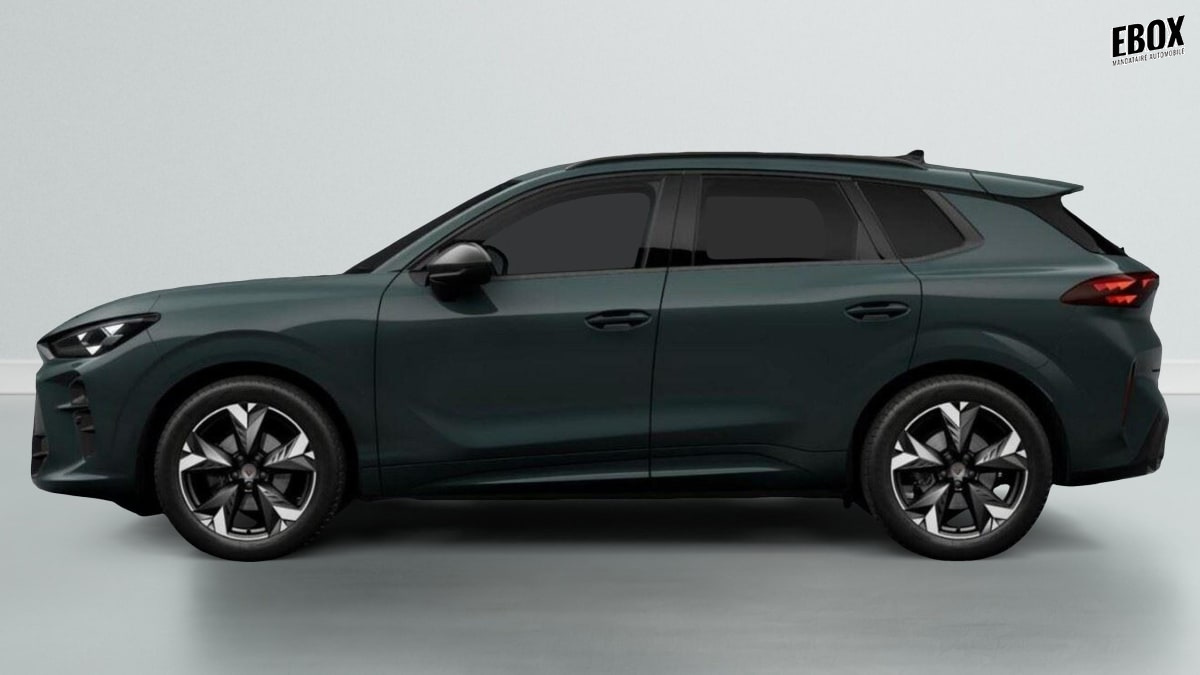 385970_p2 - CUPRA - TERRAMAR - 2026 - photo 2