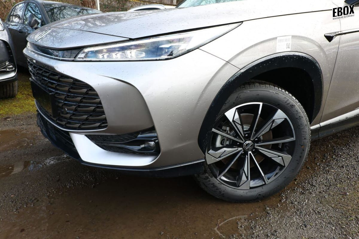 385620_p2 - MG - EHS - 2026 - photo 5