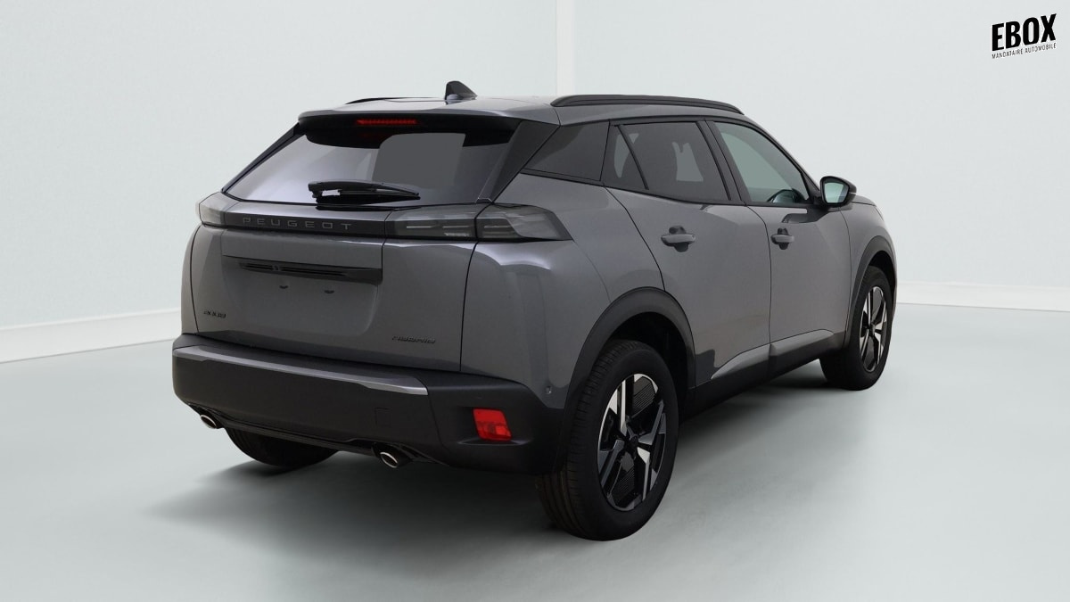 384254_p2 - PEUGEOT - 2008 - 2026 - photo 6