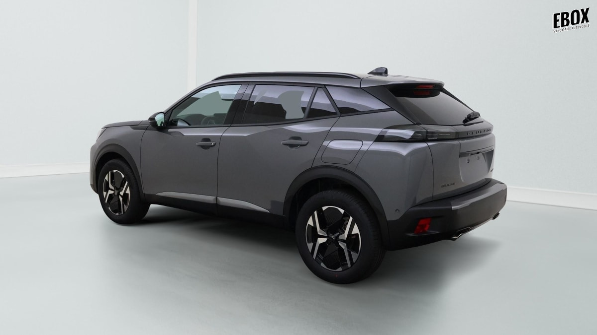384254_p2 - PEUGEOT - 2008 - 2026 - photo 8