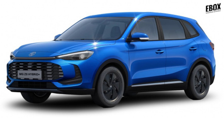 GLI00027390_p53 - MG - ZS - 2026