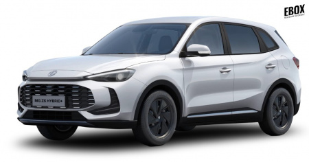 GLI00027392_p53 - MG - ZS - 2026