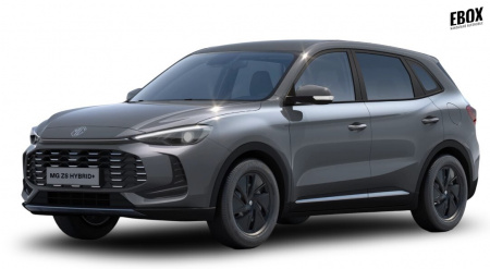 GLI00027388_p53 - MG - ZS - 2026