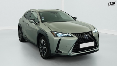 385768_p2 - LEXUS - UX - 2021
