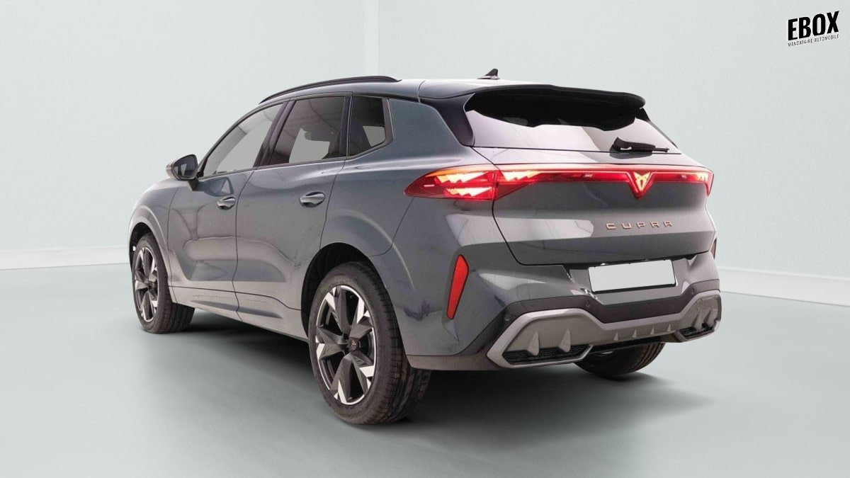 389660_p2 - CUPRA - TERRAMAR - 2026 - photo 4
