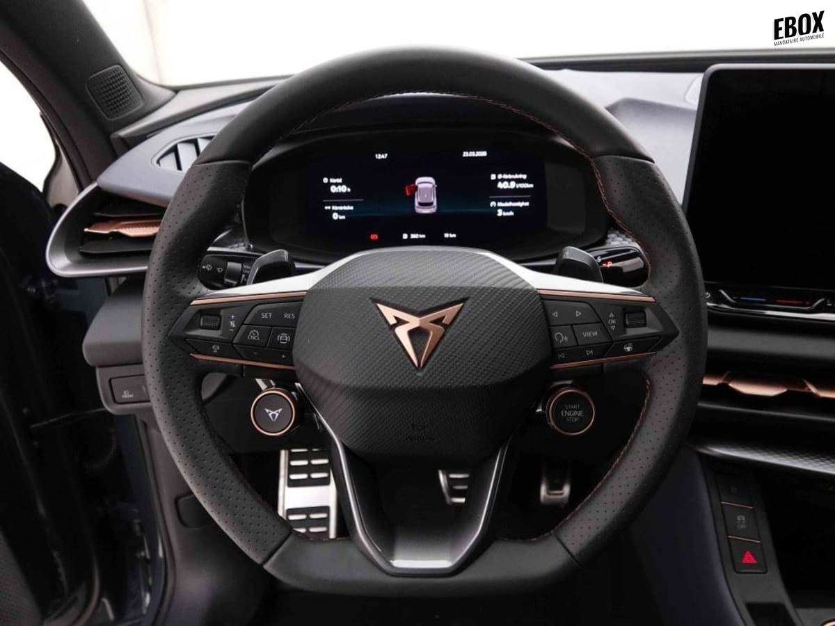389660_p2 - CUPRA - TERRAMAR - 2026 - photo 9