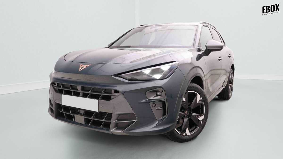 389660_p2 - CUPRA - TERRAMAR - 2026 - photo 1