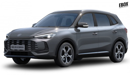GLI00032454_p53 - MG - ZS - 2026