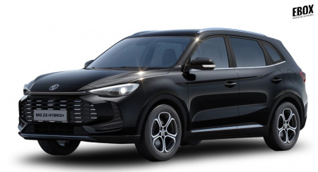 GLI00032451_p53 - MG - ZS - 2026