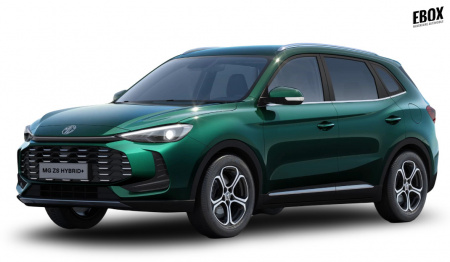 GLI00033645_p53 - MG - ZS - 2026