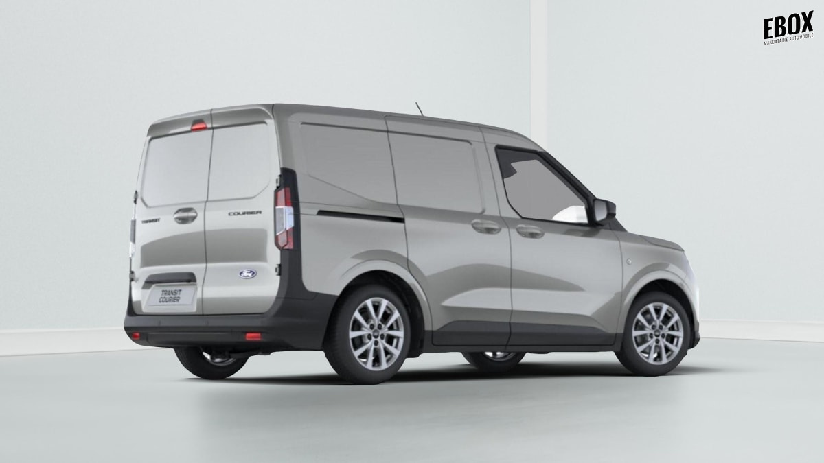 391375_p2 - FORD - TRANSIT - 2026 - photo 3