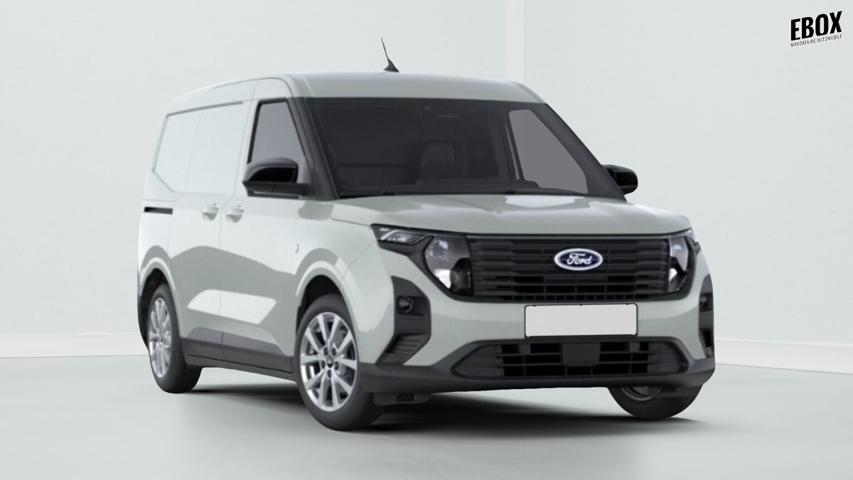 391376_p2 - FORD - TRANSIT - 2026 - photo 1