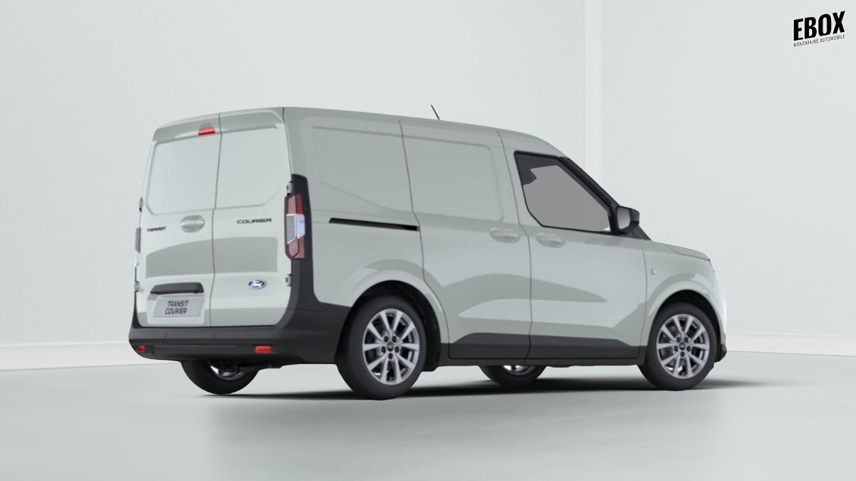 391376_p2 - FORD - TRANSIT - 2026 - photo 3