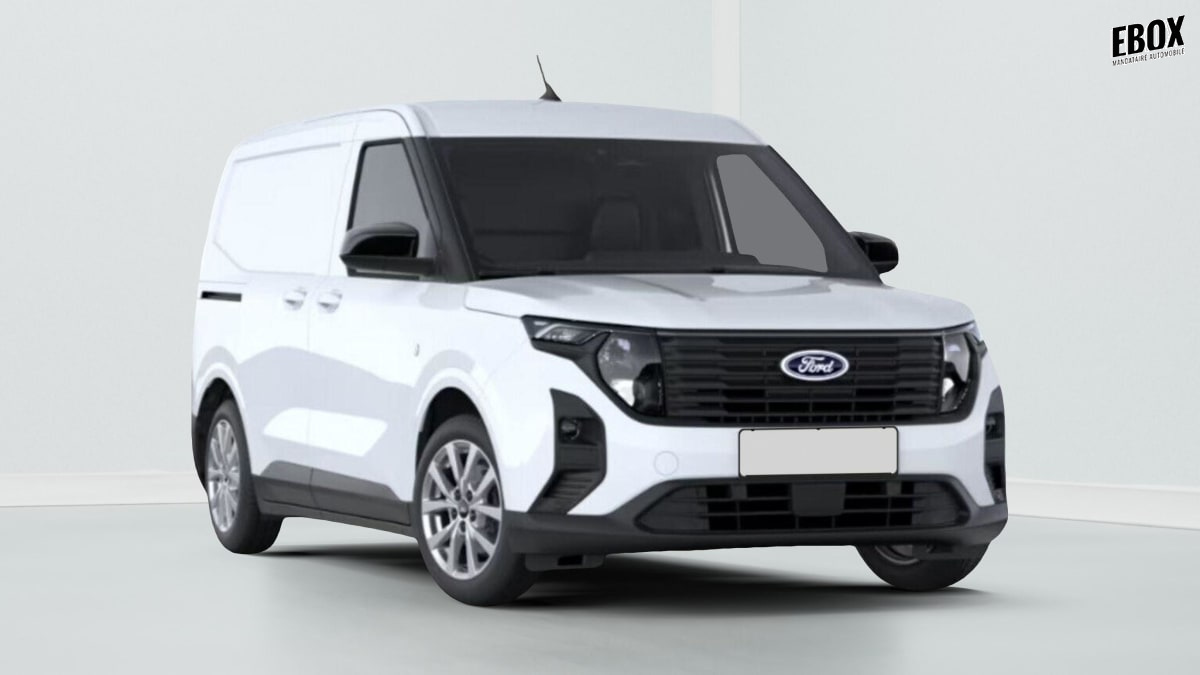 391374_p2 - FORD - TRANSIT - 2026 - photo 1