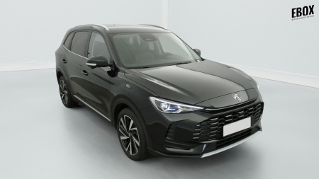 GLI00033637_p53 - MG - ZS - 2026