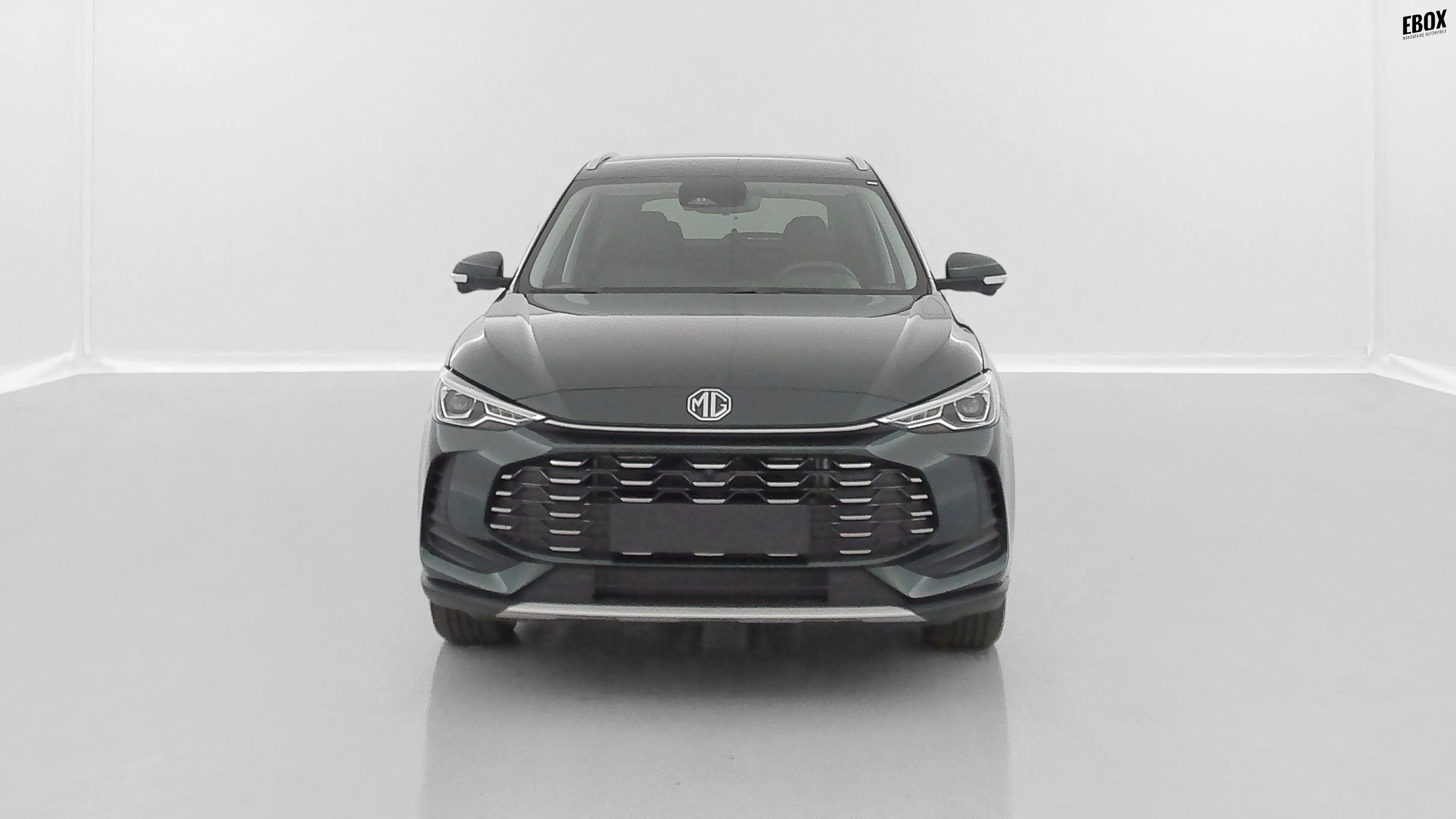 GLI00033641_p53 - MG - ZS - 2026 - photo 2
