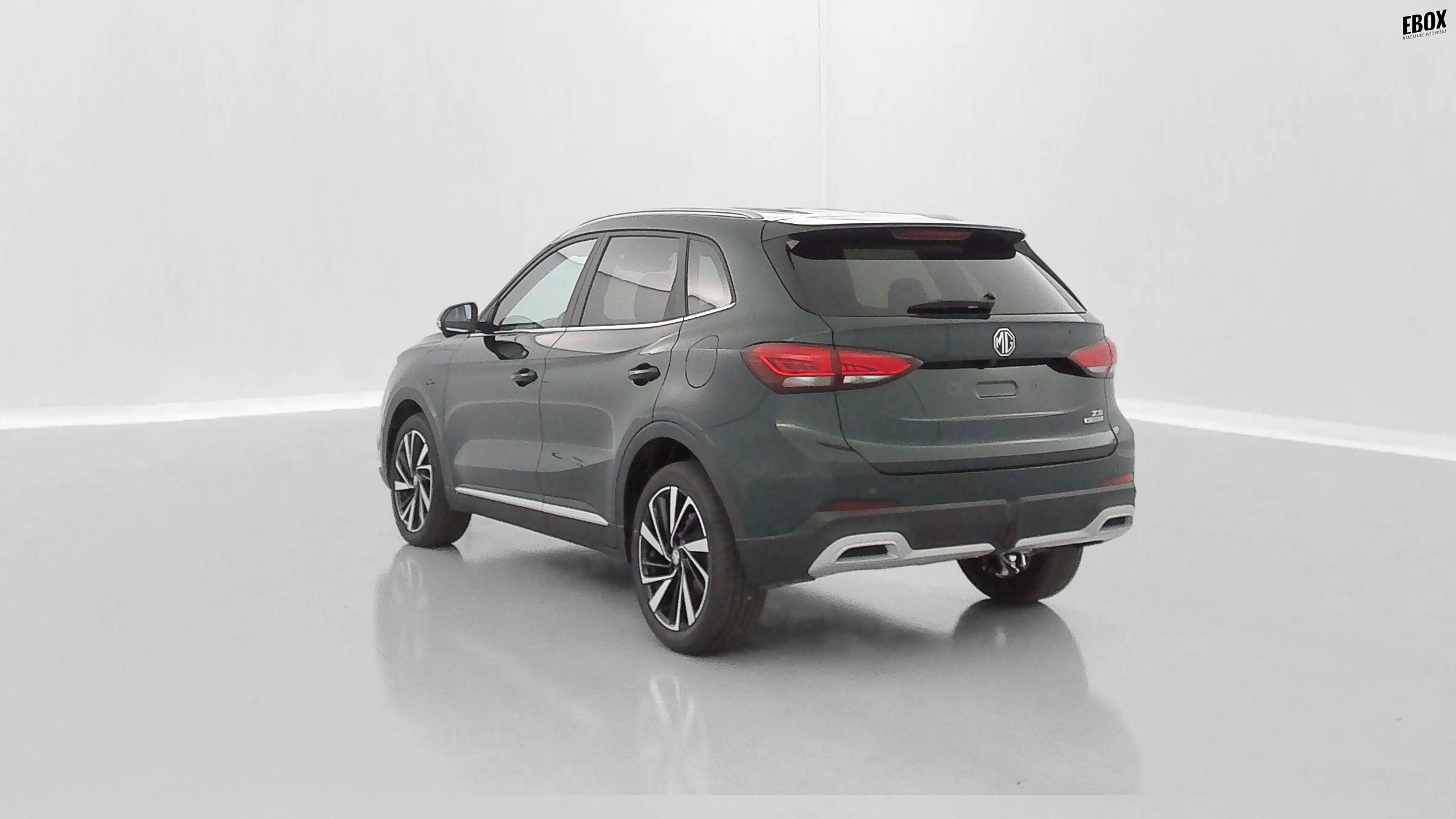 GLI00033641_p53 - MG - ZS - 2026 - photo 5