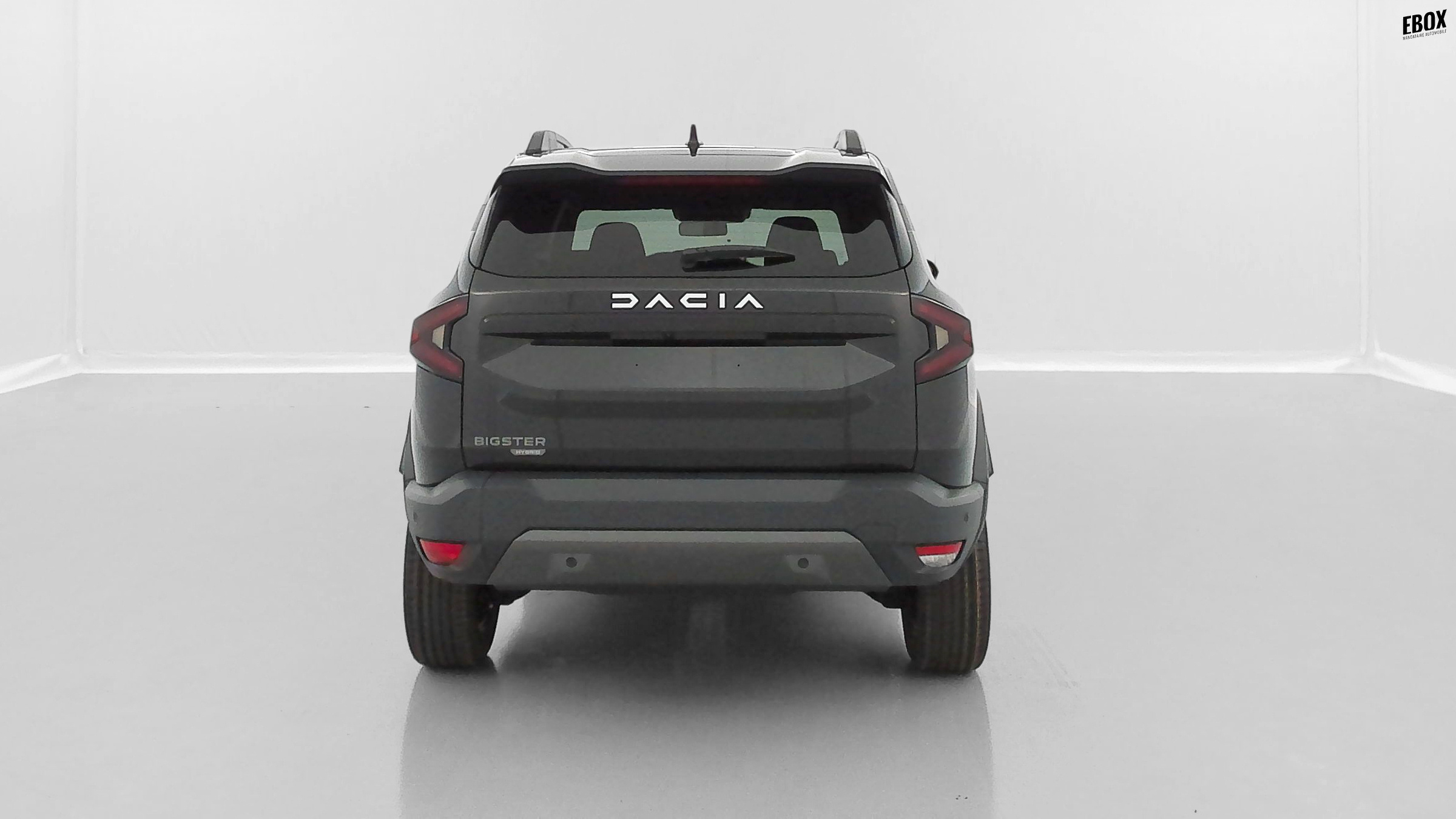 GLI00027405_p53 - DACIA - BIGSTER - 2026 - photo 27