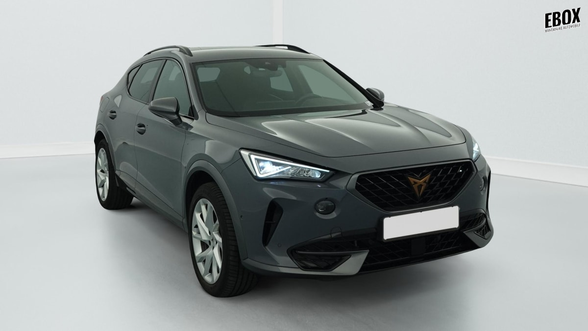 385085_p2 - CUPRA - FORMENTOR - 2023 - photo 1
