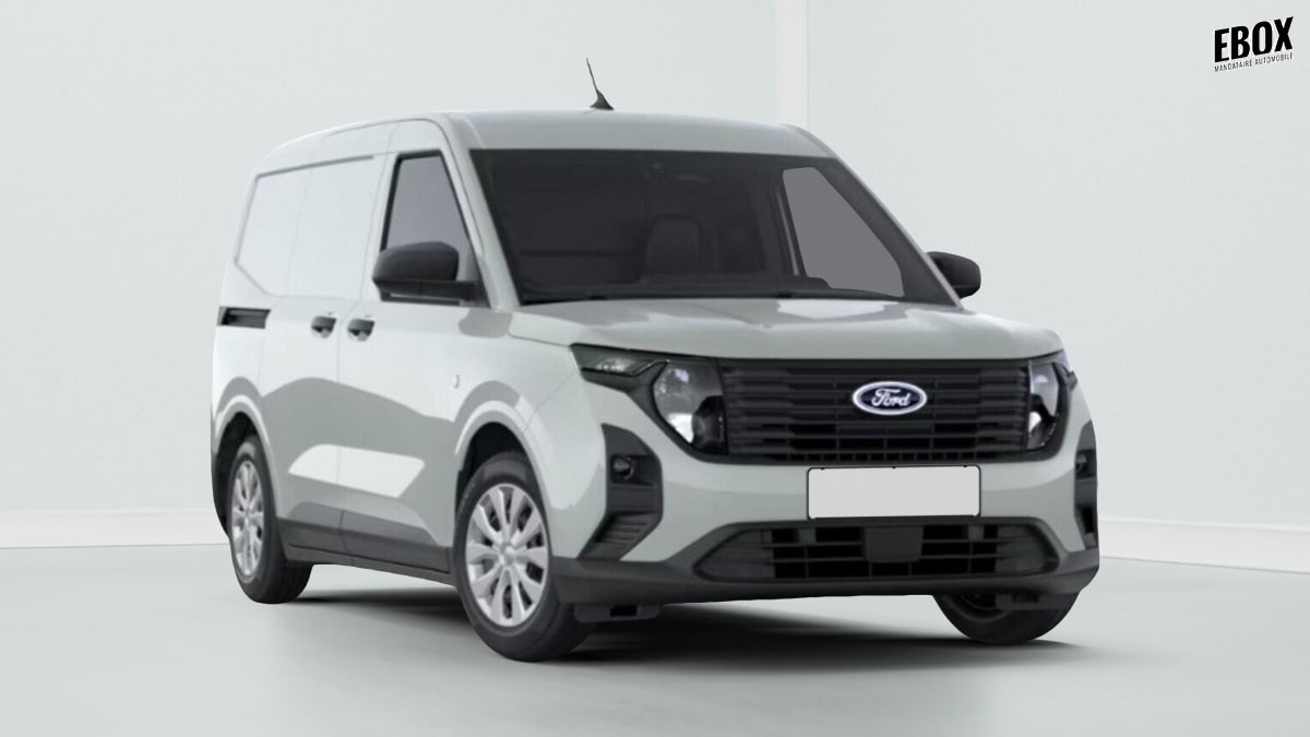 391876_p2 - FORD - TRANSIT - 2026 - photo 1