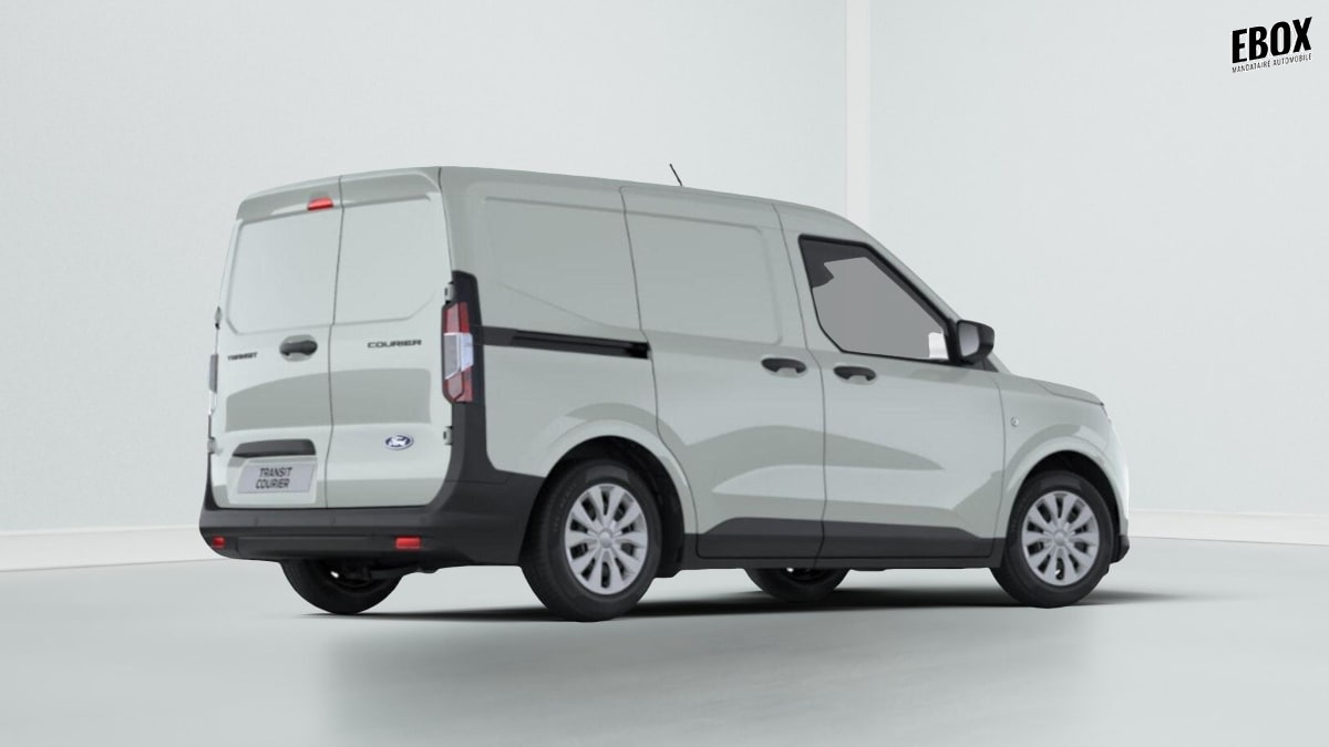 391876_p2 - FORD - TRANSIT - 2026 - photo 3