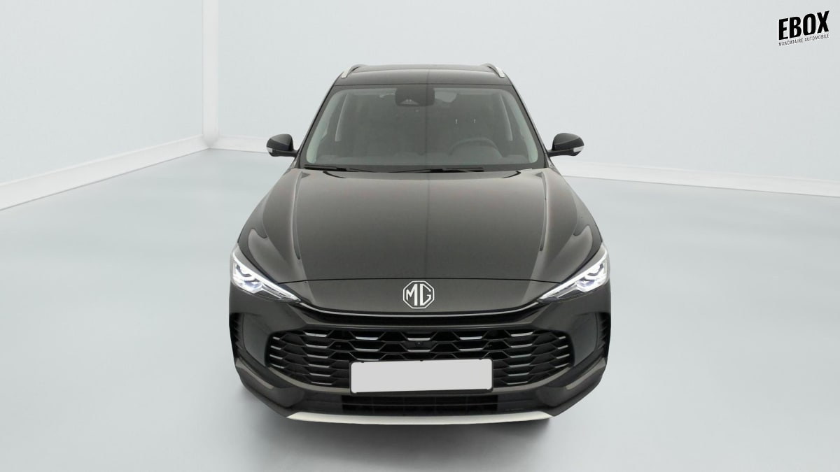 379191_p2 - MG - ZS - 2026 - photo 2