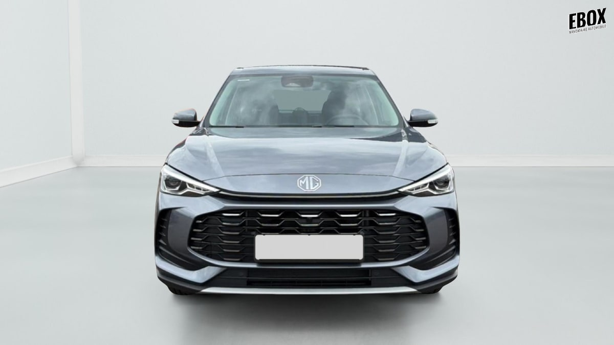 391924_p2 - MG - ZS - 2026 - photo 3