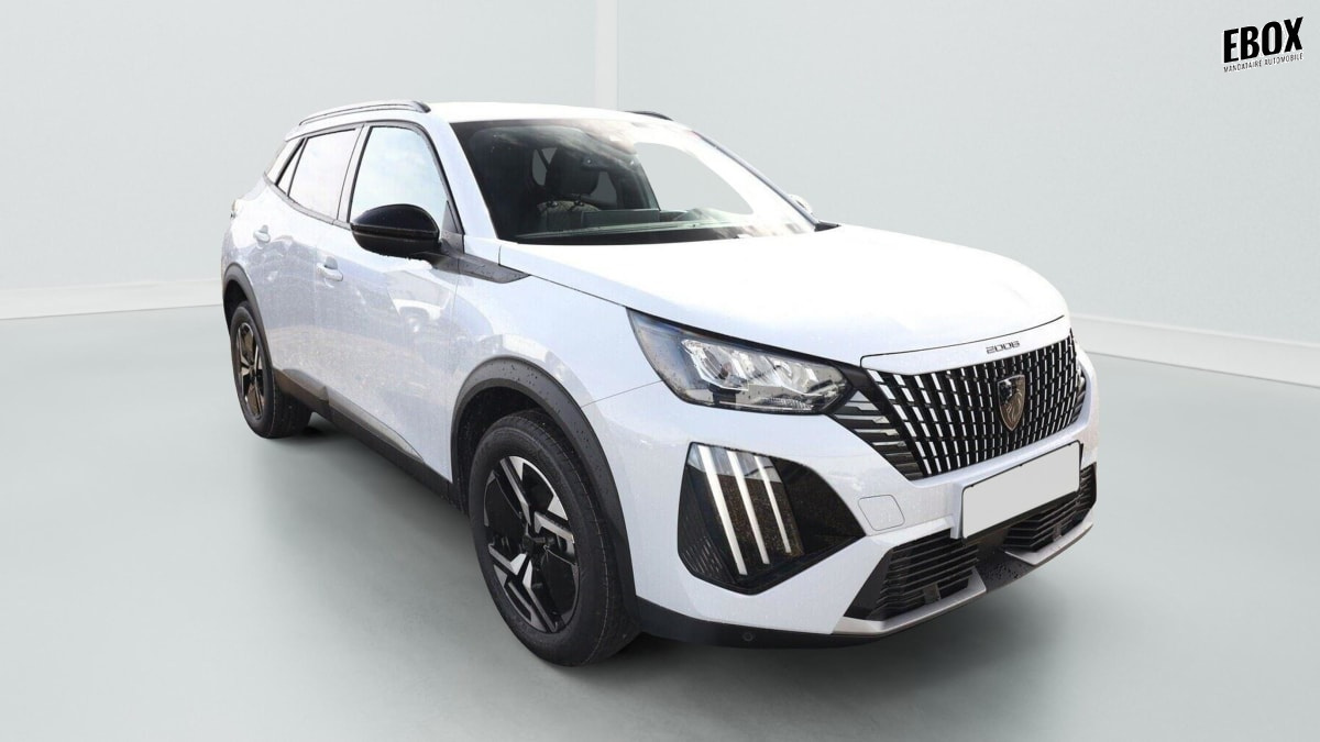 380016_p2 - PEUGEOT - 2008 - 2026 - photo 1